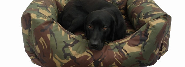 Waterproof Dog Bed Lounger